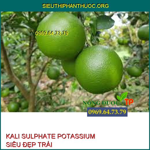 KALI SULPHATE POTASSIUM SIÊU ĐẸP TRÁI