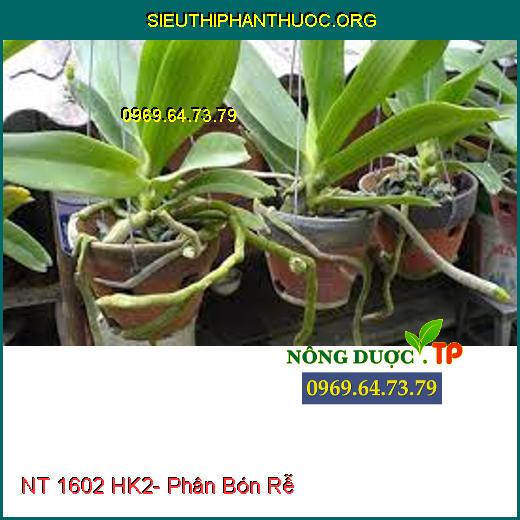 NT 1602 HK2- Phân Bón Rễ 