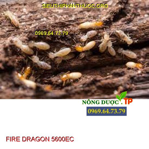 FIRE DRAGON 5600EC