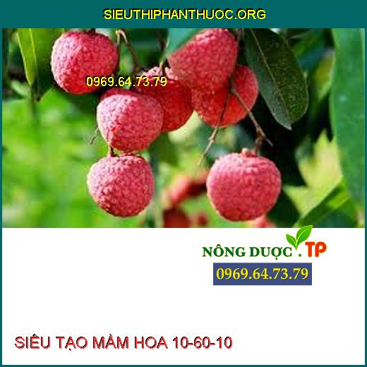 SIÊU TẠO MẦM HOA 10-60-10