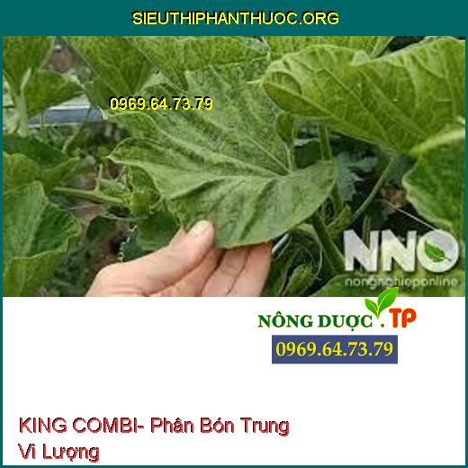 KING COMBI- Phân Bón Trung Vi Lượng
