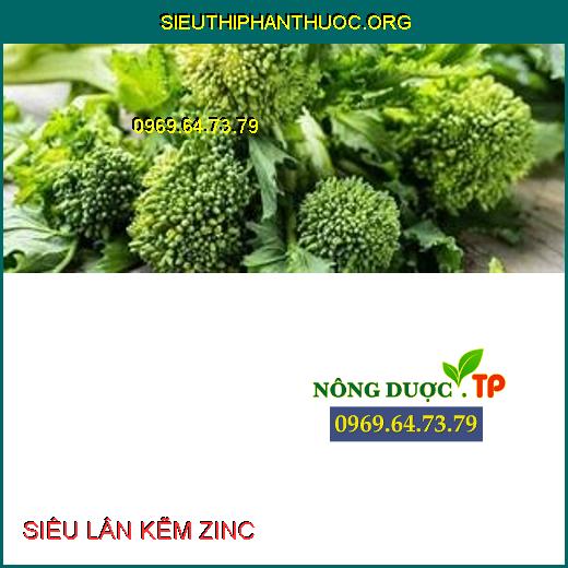 SIÊU LÂN KẼM ZINC