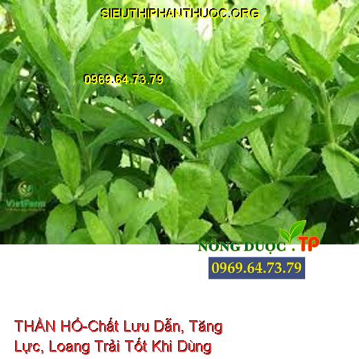 THẦN HỔ-Chất Lưu Dẫn, Tăng Lực, Loang Trải Tốt Khi Dùng Chung TBVTV