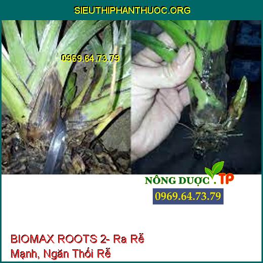 BIOMAX ROOTS 2- Ra Rễ Mạnh, Ngăn Thối Rễ