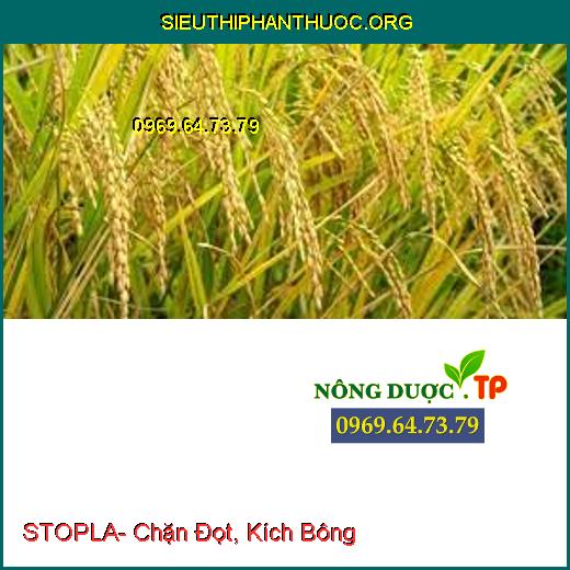 STOPLA- Chặn Đọt, Kích Bông