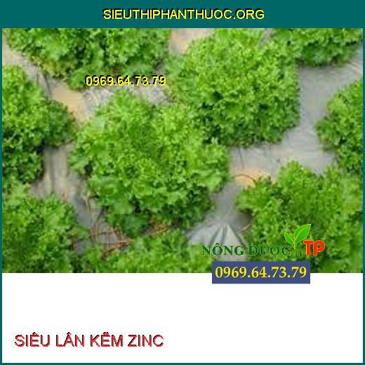 SIÊU LÂN KẼM ZINC