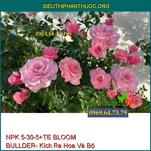 NPK 5-30-5+TE BLOOM BULLDER- Kích Ra Hoa Và Bộ Rễ