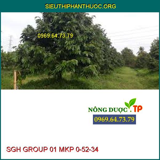 SGH GROUP 01 MKP 0-52-34