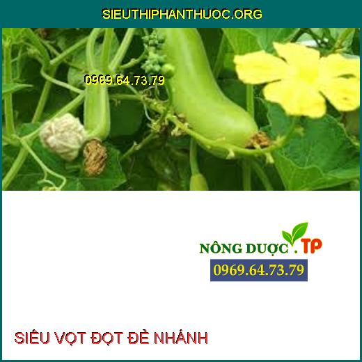 SIÊU VỌT ĐỌT ĐẺ NHÁNH