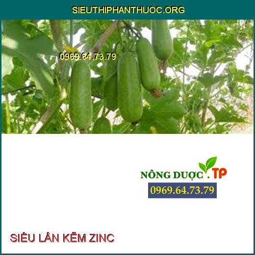 SIÊU LÂN KẼM ZINC