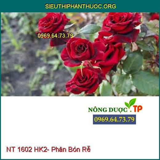 NT 1602 HK2- Phân Bón Rễ 