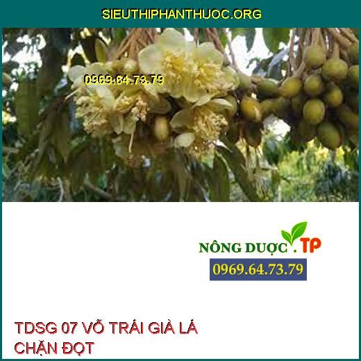 TDSG 07 VỖ TRÁI GIÀ LÁ CHẶN ĐỌT