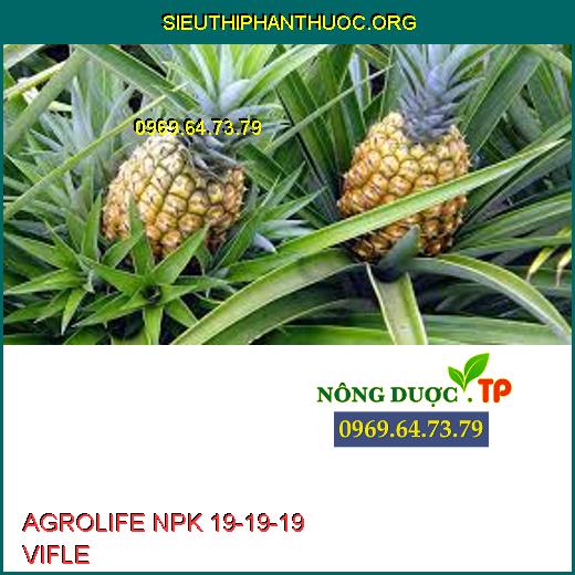 AGROLIFE NPK 19-19-19 VIFLE