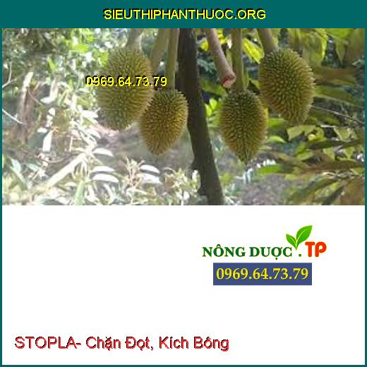 STOPLA- Chặn Đọt, Kích Bông