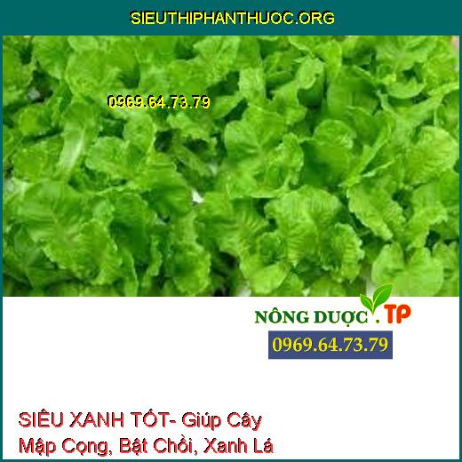 SIÊU XANH TỐT- Giúp Cây Mập Cọng, Bật Chồi, Xanh Lá