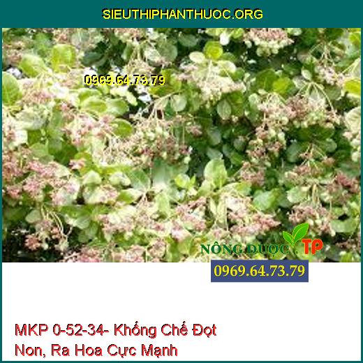 MKP 0-52-34- Khống Chế Đọt Non, Ra Hoa Cực Mạnh
