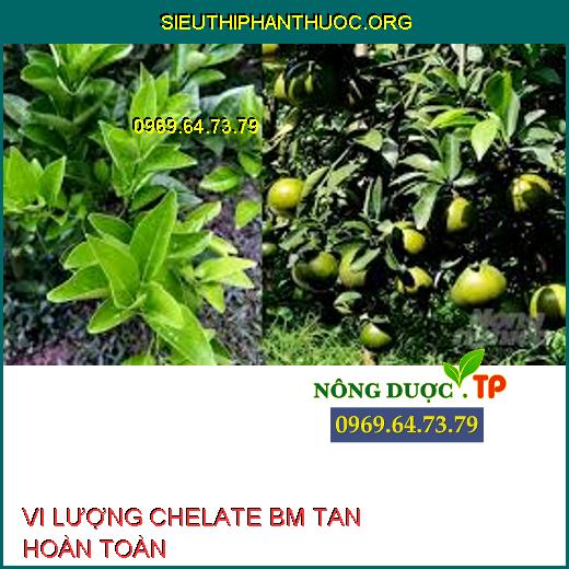 VI LƯỢNG CHELATE BM TAN HOÀN TOÀN