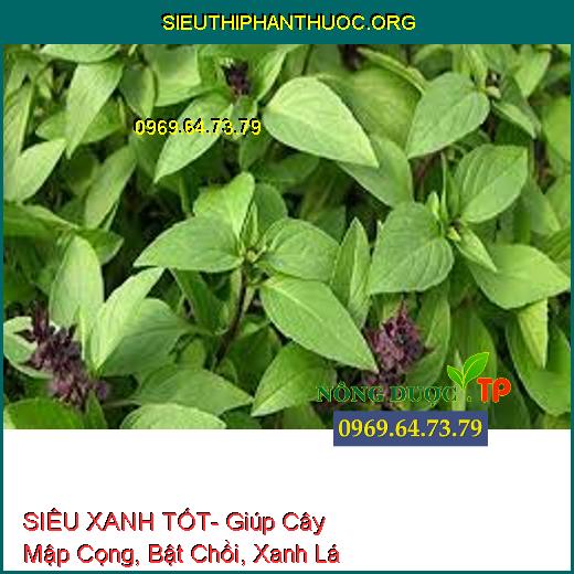 SIÊU XANH TỐT- Giúp Cây Mập Cọng, Bật Chồi, Xanh Lá