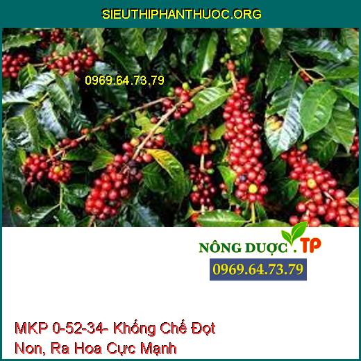 MKP 0-52-34- Khống Chế Đọt Non, Ra Hoa Cực Mạnh