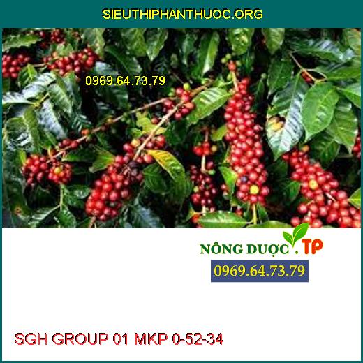 SGH GROUP 01 MKP 0-52-34