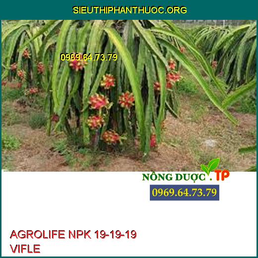 AGROLIFE NPK 19-19-19 VIFLE