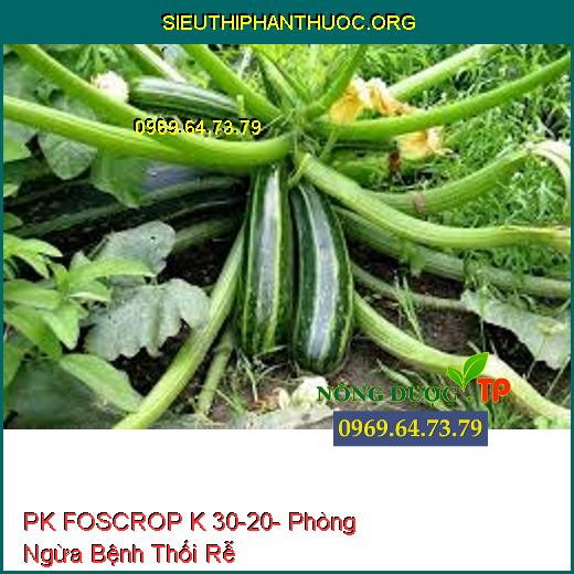 PK FOSCROP K 30-20- Phòng Ngừa Bệnh Thối Rễ
