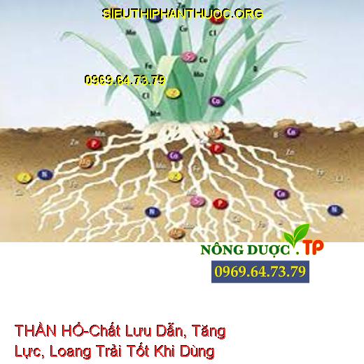 THẦN HỔ-Chất Lưu Dẫn, Tăng Lực, Loang Trải Tốt Khi Dùng Chung TBVTV