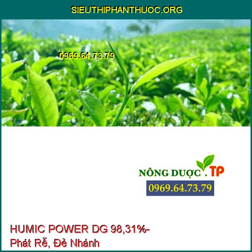 HUMIC POWER DG 98,31%- Phát Rễ, Đẻ Nhánh