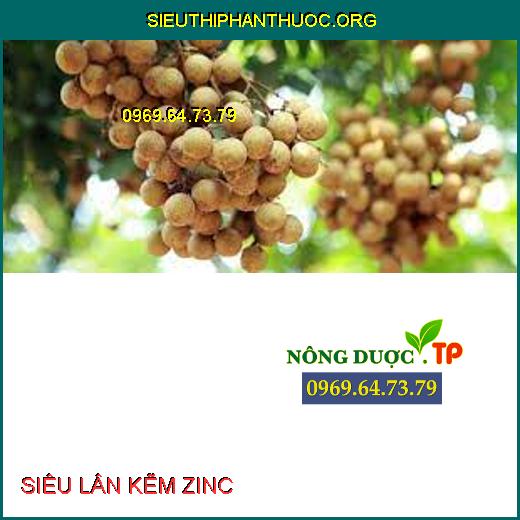 SIÊU LÂN KẼM ZINC