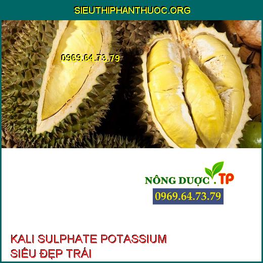 KALI SULPHATE POTASSIUM SIÊU ĐẸP TRÁI