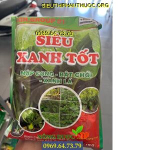 SIÊU XANH TỐT- Mập Cọng, Mập Chồi, Xanh Lá, Nở Bụi, Cứng Cây, To Bẹ, Nặng ký