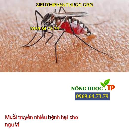 ARATAT 350WP BA CON RẦY- Đặc Trị Ruồi, Muỗi, Rệp Và Các Loại Côn Trùng ...