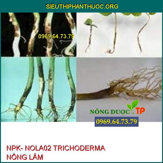 NPK- NOLA02 TRICHODERMA NÔNG LÂM
