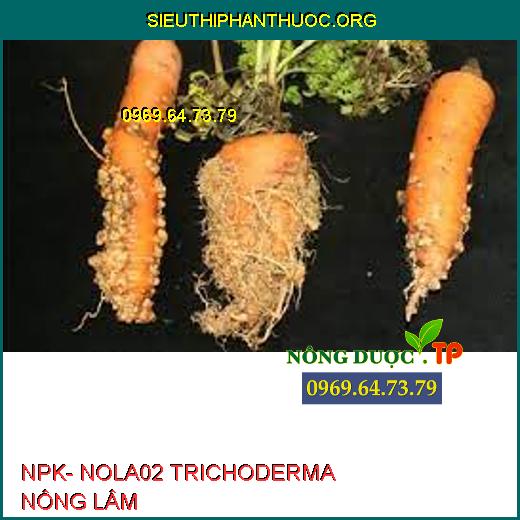 NPK- NOLA02 TRICHODERMA NÔNG LÂM