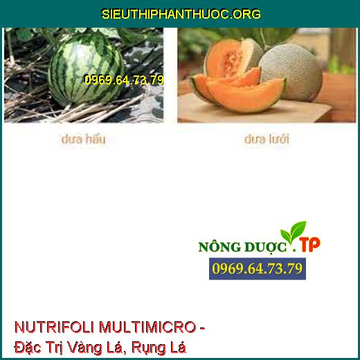 NUTRIFOLI MULTIMICRO - Đặc Trị Vàng Lá, Rụng Lá