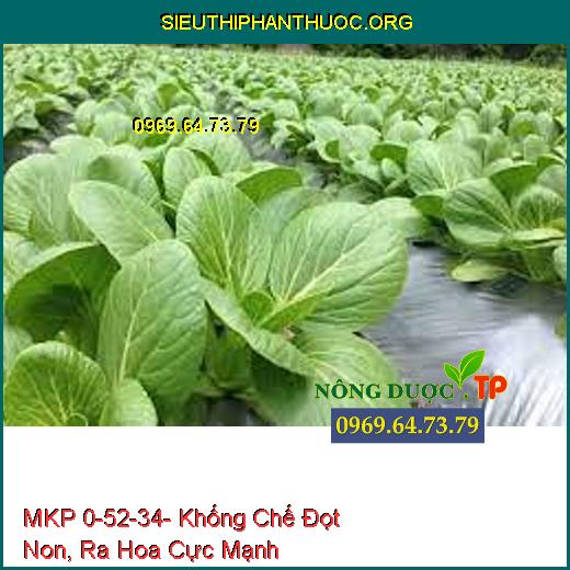 MKP 0-52-34- Khống Chế Đọt Non, Ra Hoa Cực Mạnh