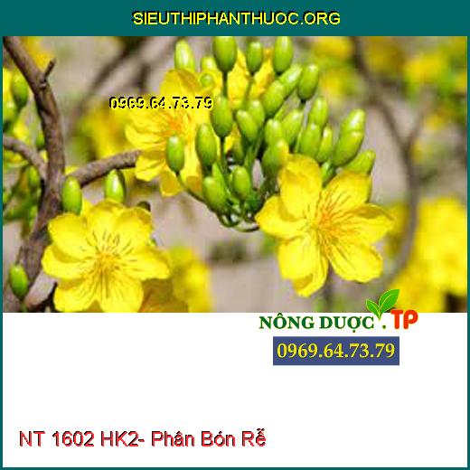 NT 1602 HK2- Phân Bón Rễ 