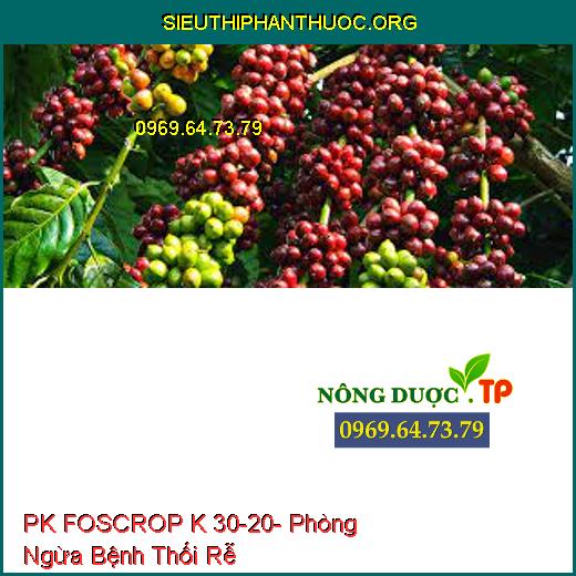 PK FOSCROP K 30-20- Phòng Ngừa Bệnh Thối Rễ