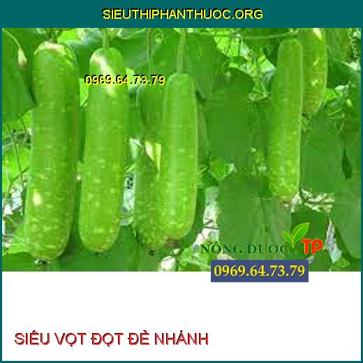 SIÊU VỌT ĐỌT ĐẺ NHÁNH