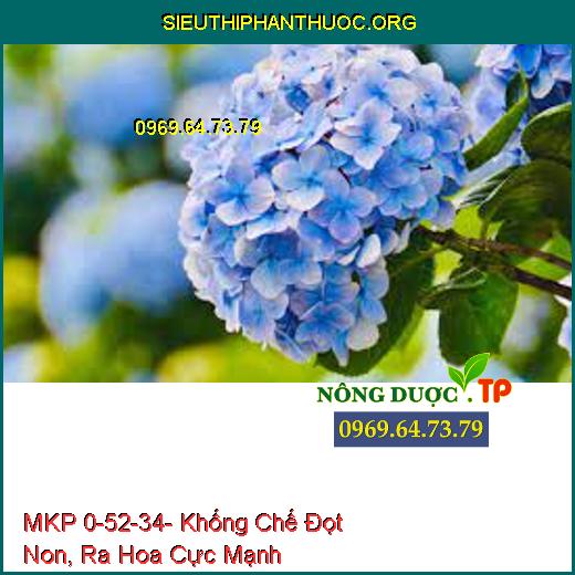 MKP 0-52-34- Khống Chế Đọt Non, Ra Hoa Cực Mạnh
