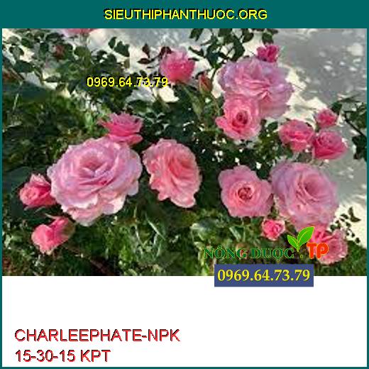 CHARLEEPHATE-NPK 15-30-15 KPT