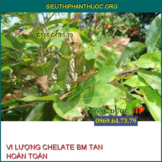 VI LƯỢNG CHELATE BM TAN HOÀN TOÀN