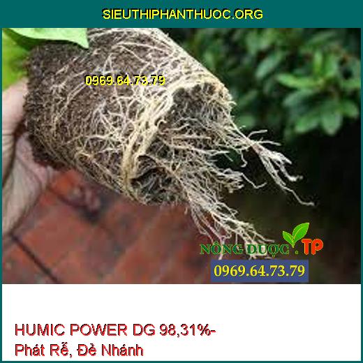 HUMIC POWER DG 98,31%- Phát Rễ, Đẻ Nhánh