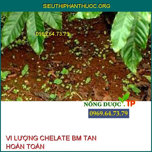 VI LƯỢNG CHELATE BM TAN HOÀN TOÀN