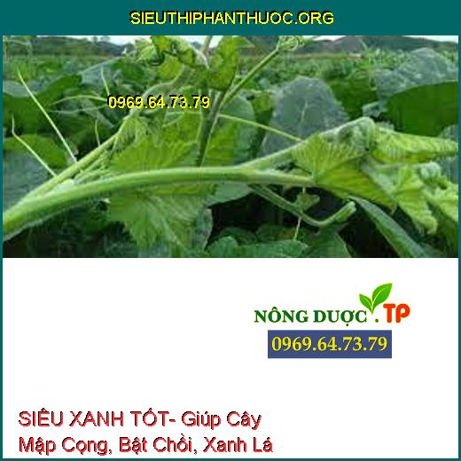 SIÊU XANH TỐT- Giúp Cây Mập Cọng, Bật Chồi, Xanh Lá