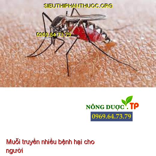 muỗi