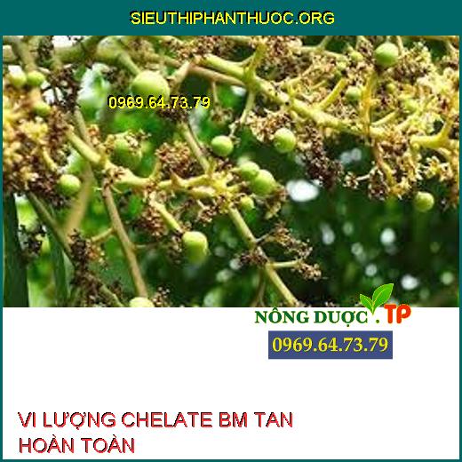 VI LƯỢNG CHELATE BM TAN HOÀN TOÀN