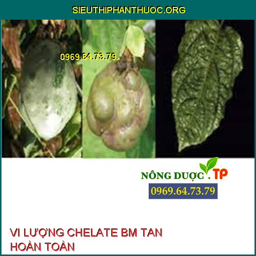 VI LƯỢNG CHELATE BM TAN HOÀN TOÀN