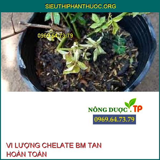 VI LƯỢNG CHELATE BM TAN HOÀN TOÀN