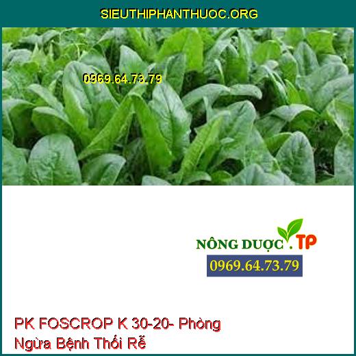 PK FOSCROP K 30-20- Phòng Ngừa Bệnh Thối Rễ